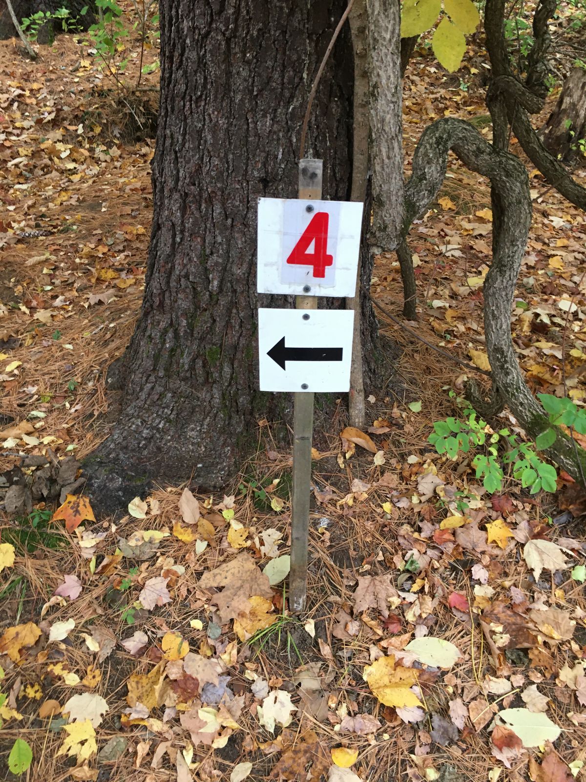 To hole 4!