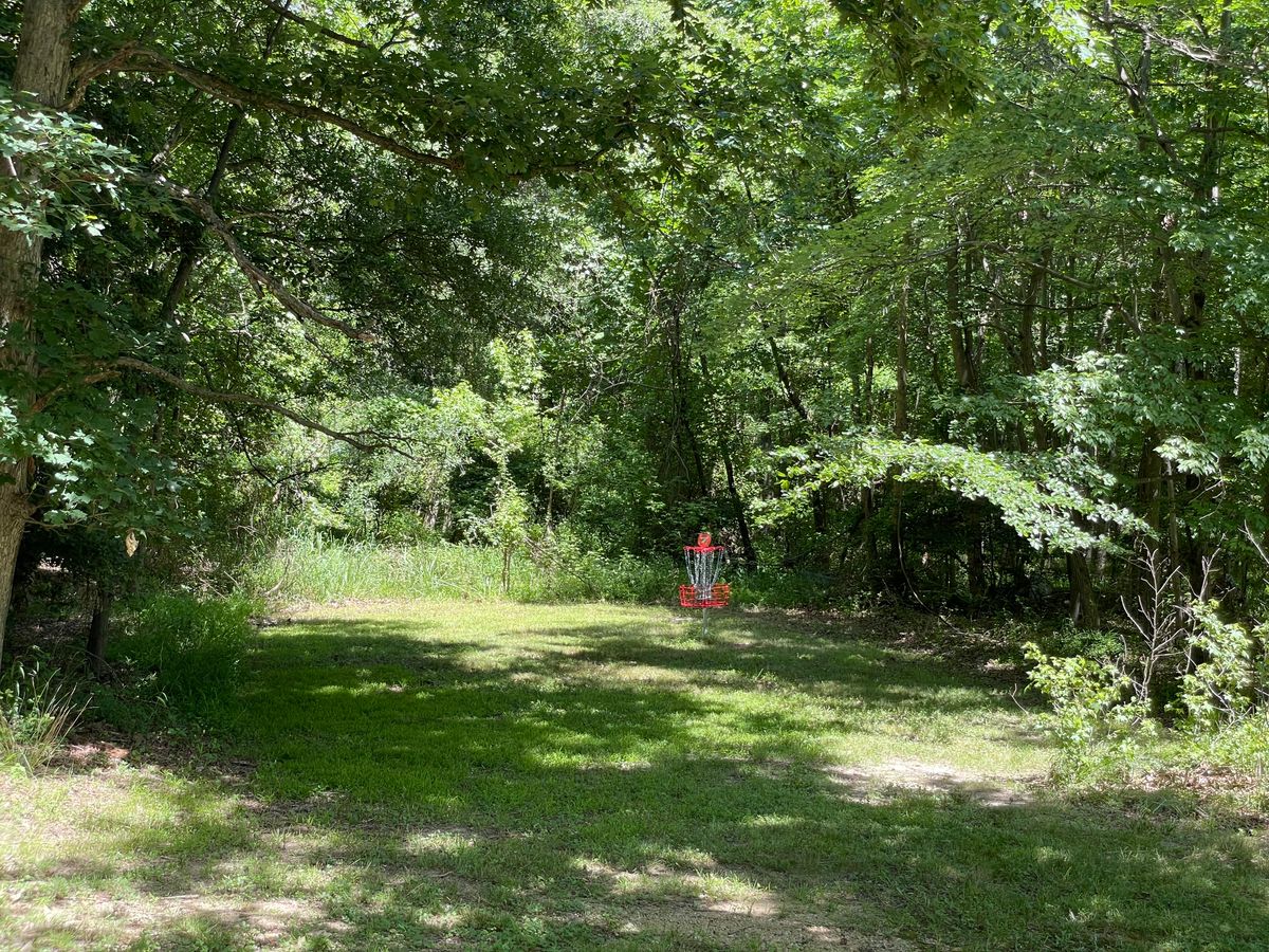 Hole 7 basket