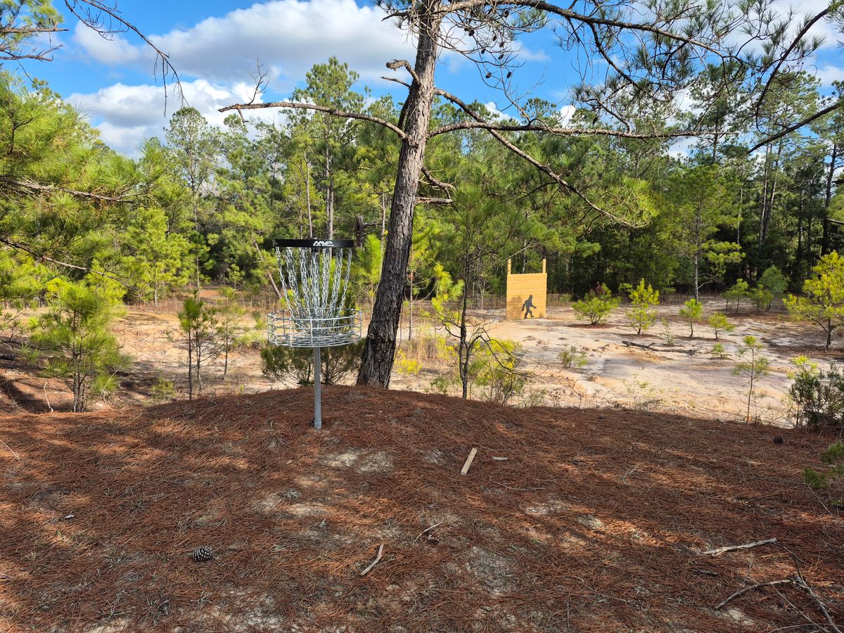 Hole 15 basket