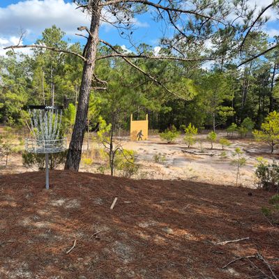 Hole 15 basket
