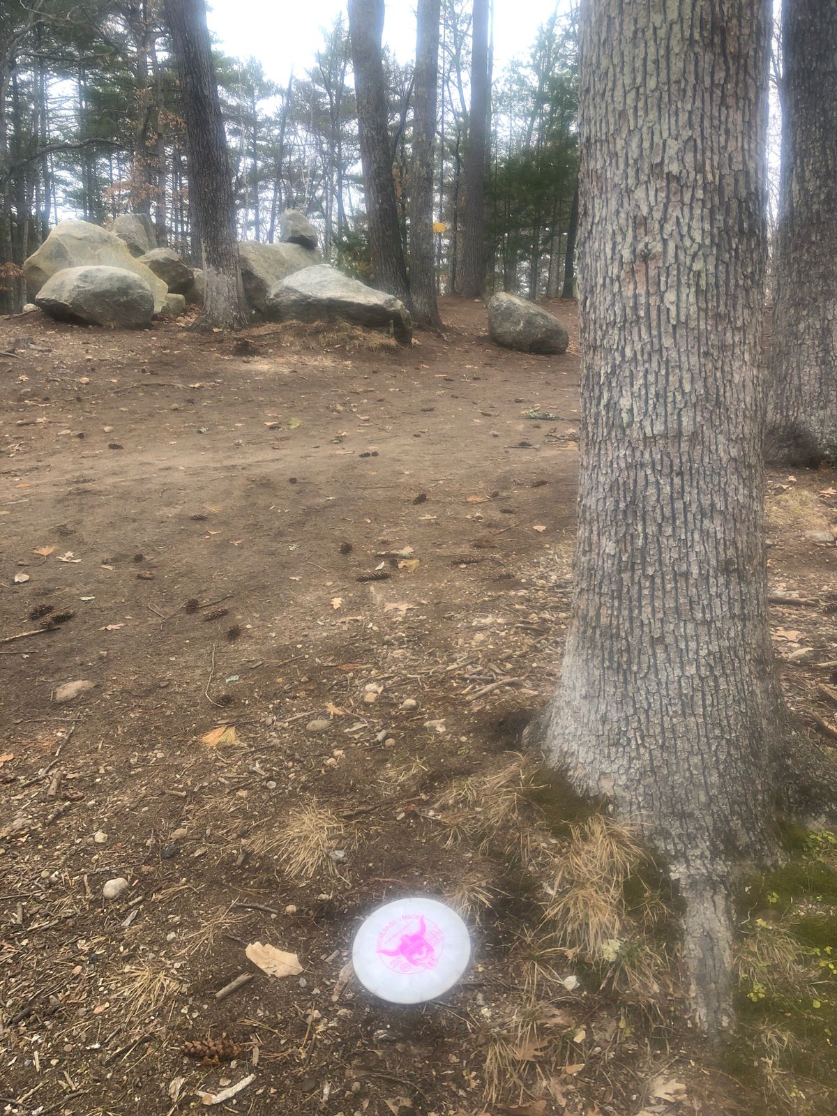 Came up from NJ... had a blast on this course!