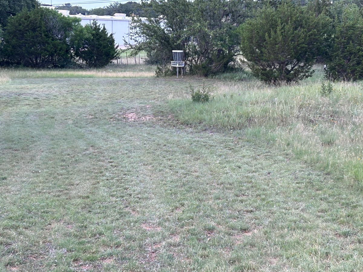 Hole 7 Basket