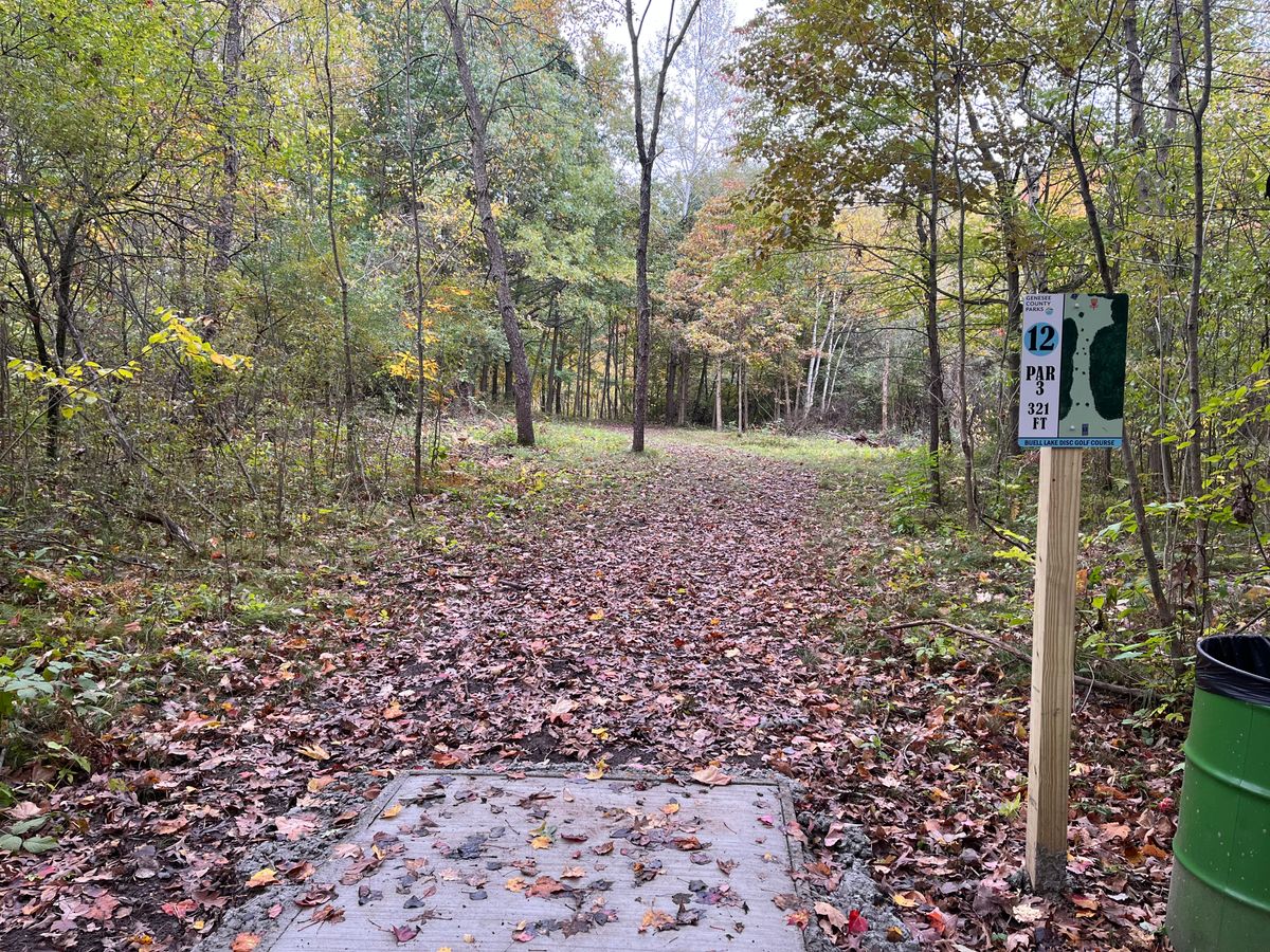 Hole 12 flex forehand up and down the hill
