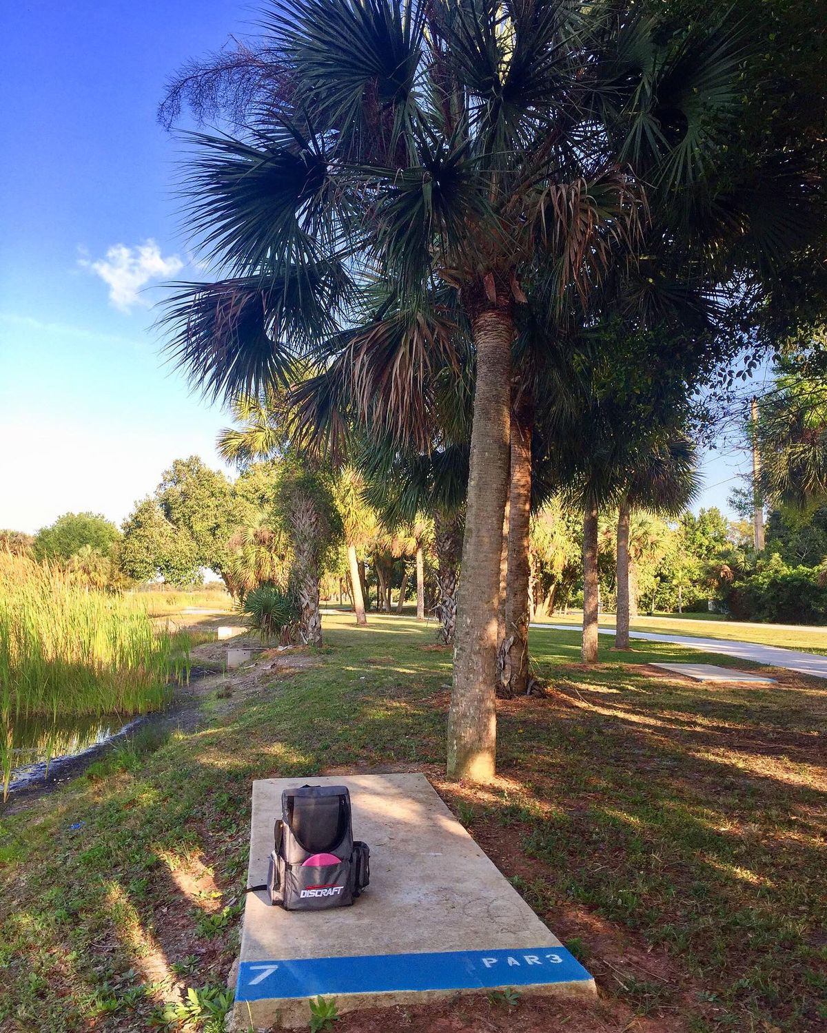 Hole 7 (Blue Tee)