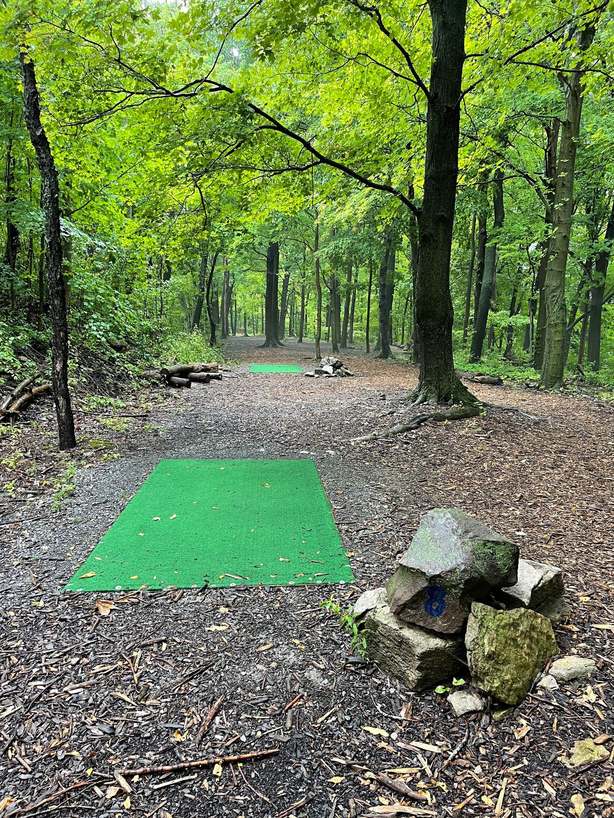 Hole 8