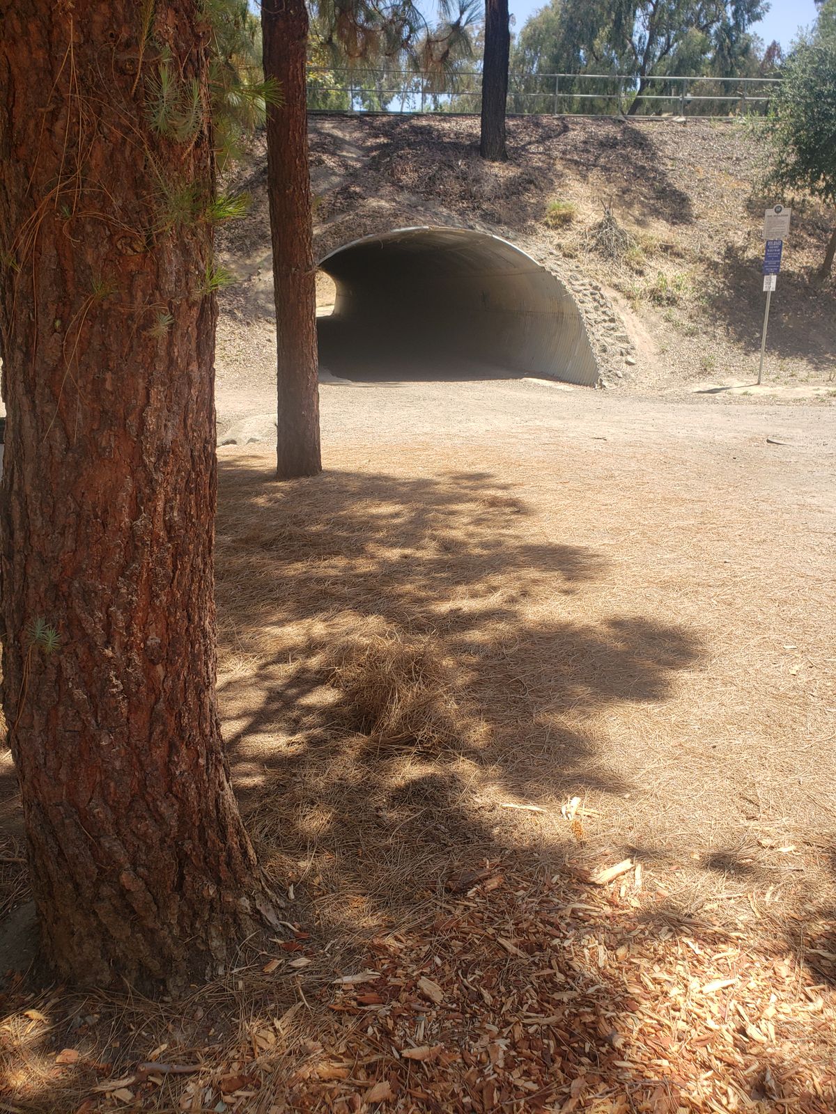 Future hole one tunnel shot!