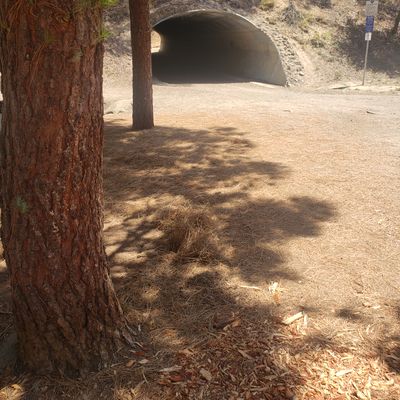 Future hole one tunnel shot!