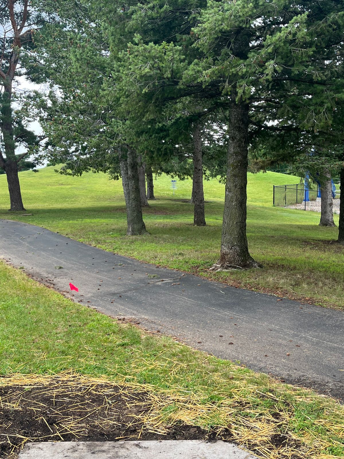 Hole 15 from the T, 170ish feet. Loving the new layout!