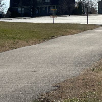 #9 fairway and basket