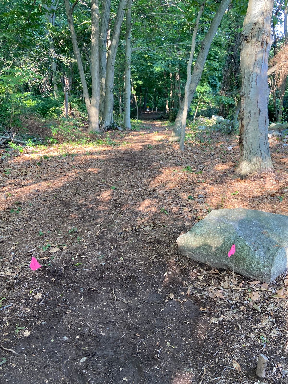 New hole 8 (rock wall to the right is OB)