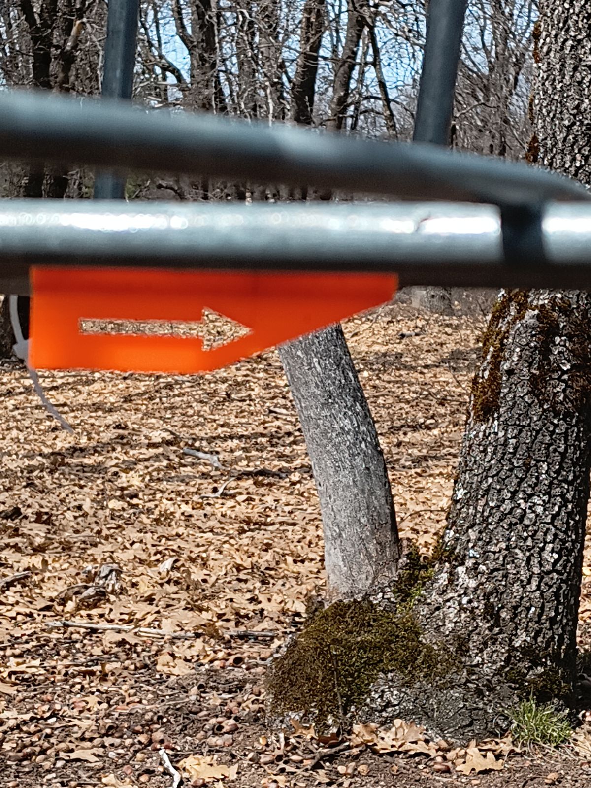 Follow the orange arrow on the basket to find the next hole.