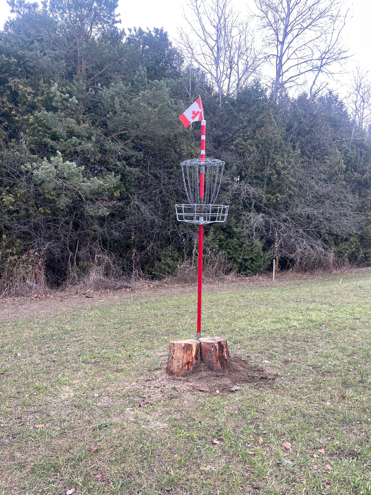 Old Hole 2 basket