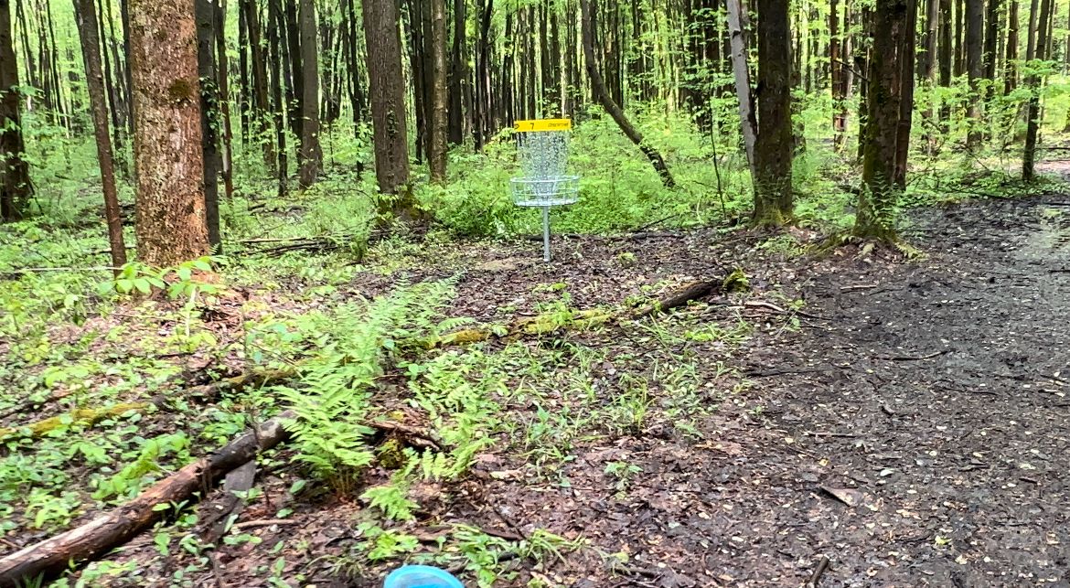 Hole 7