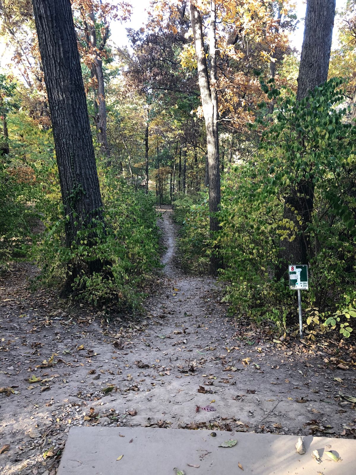 Hole 17 in summer bloom
