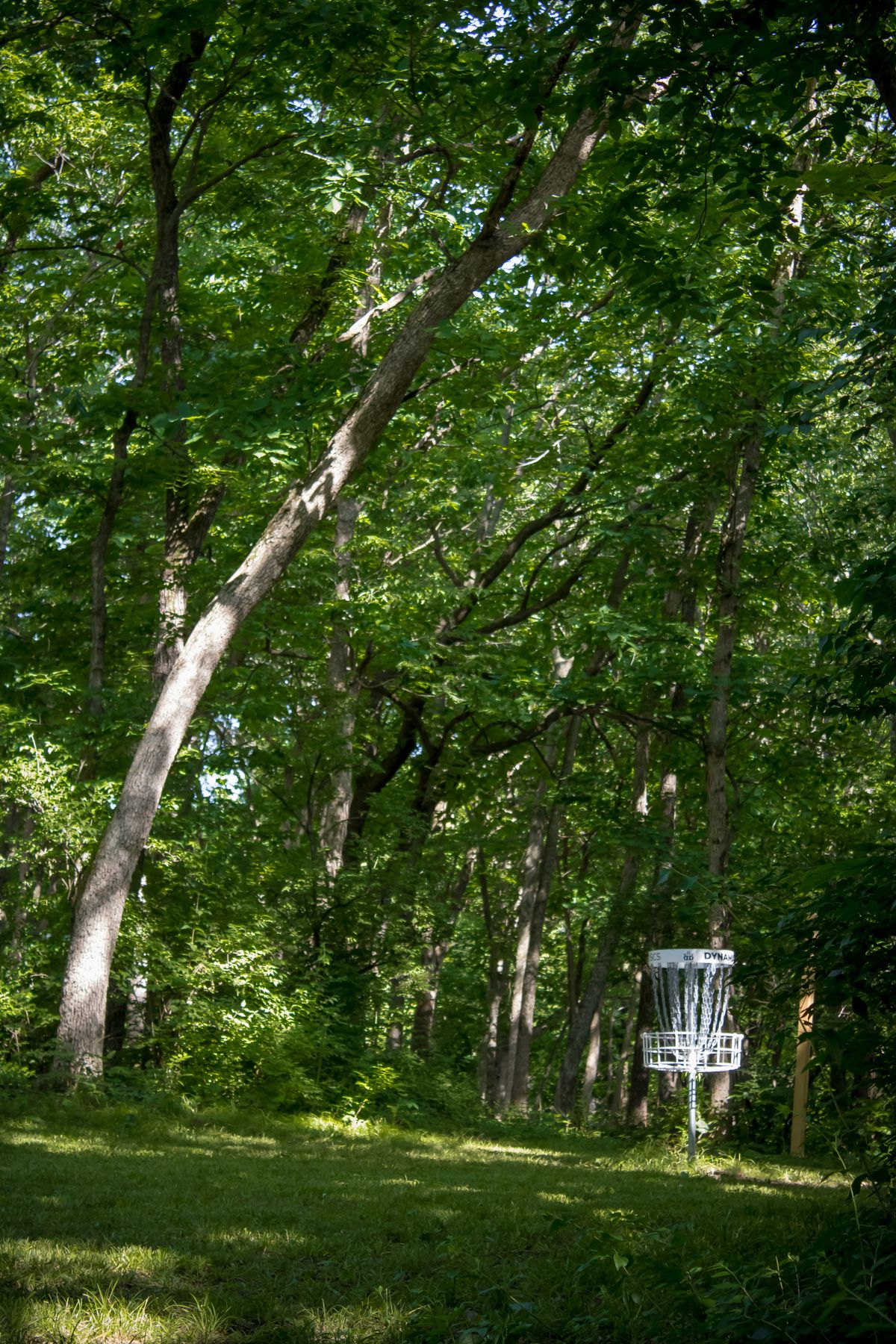 Hole 12 short