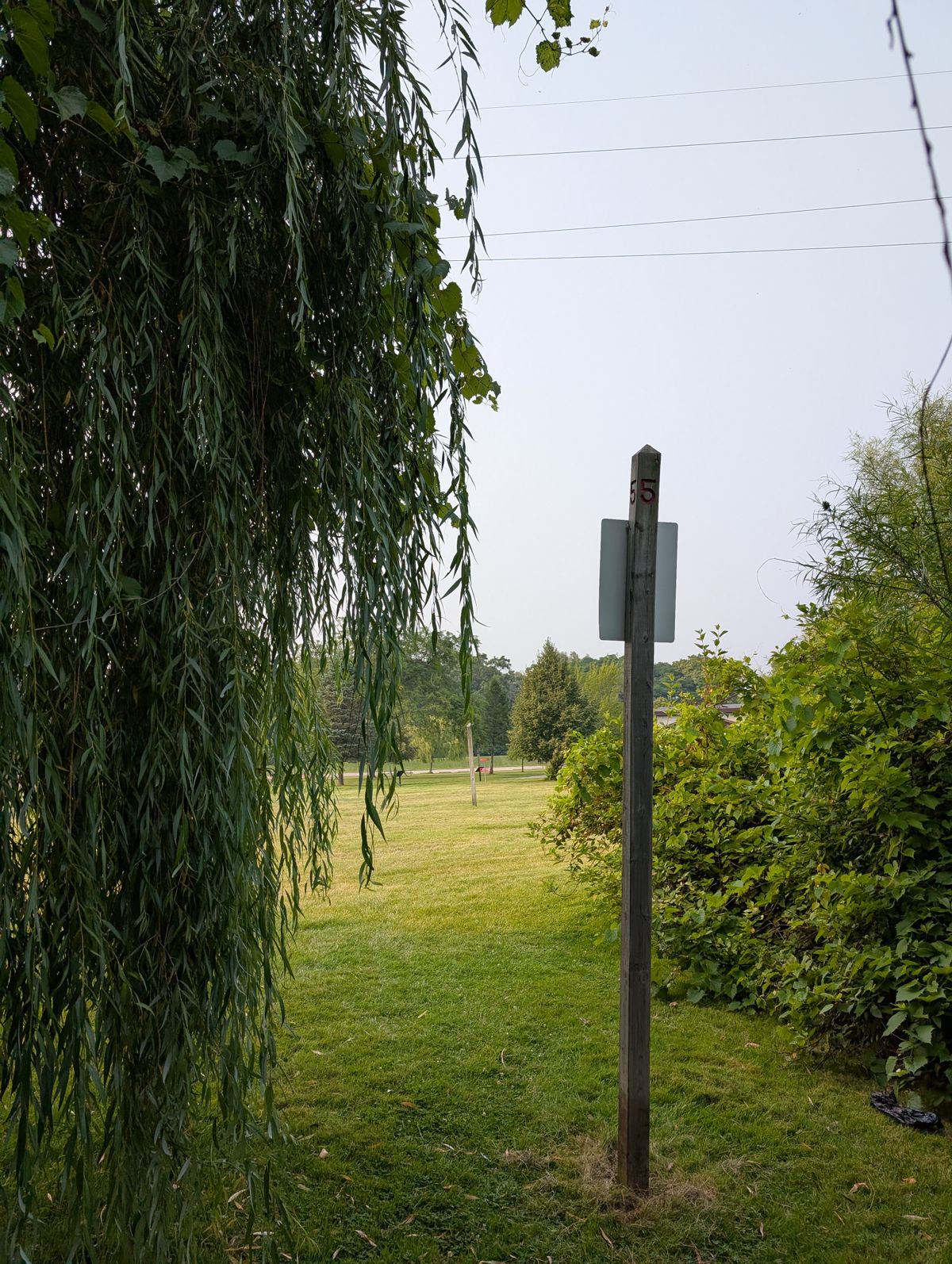 Obstructed tee 5  by a gorgeous willow.