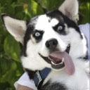 User avatar image