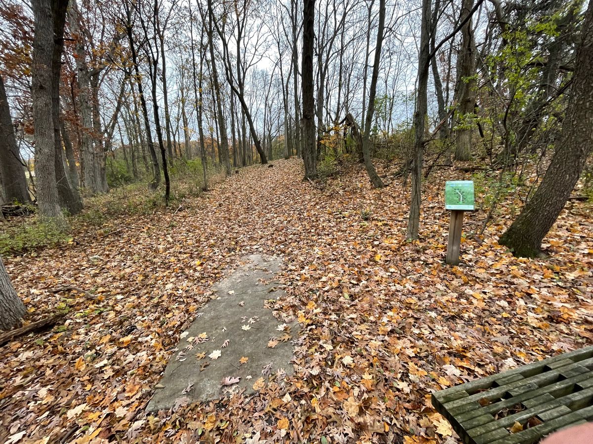 Hole 14 long tee