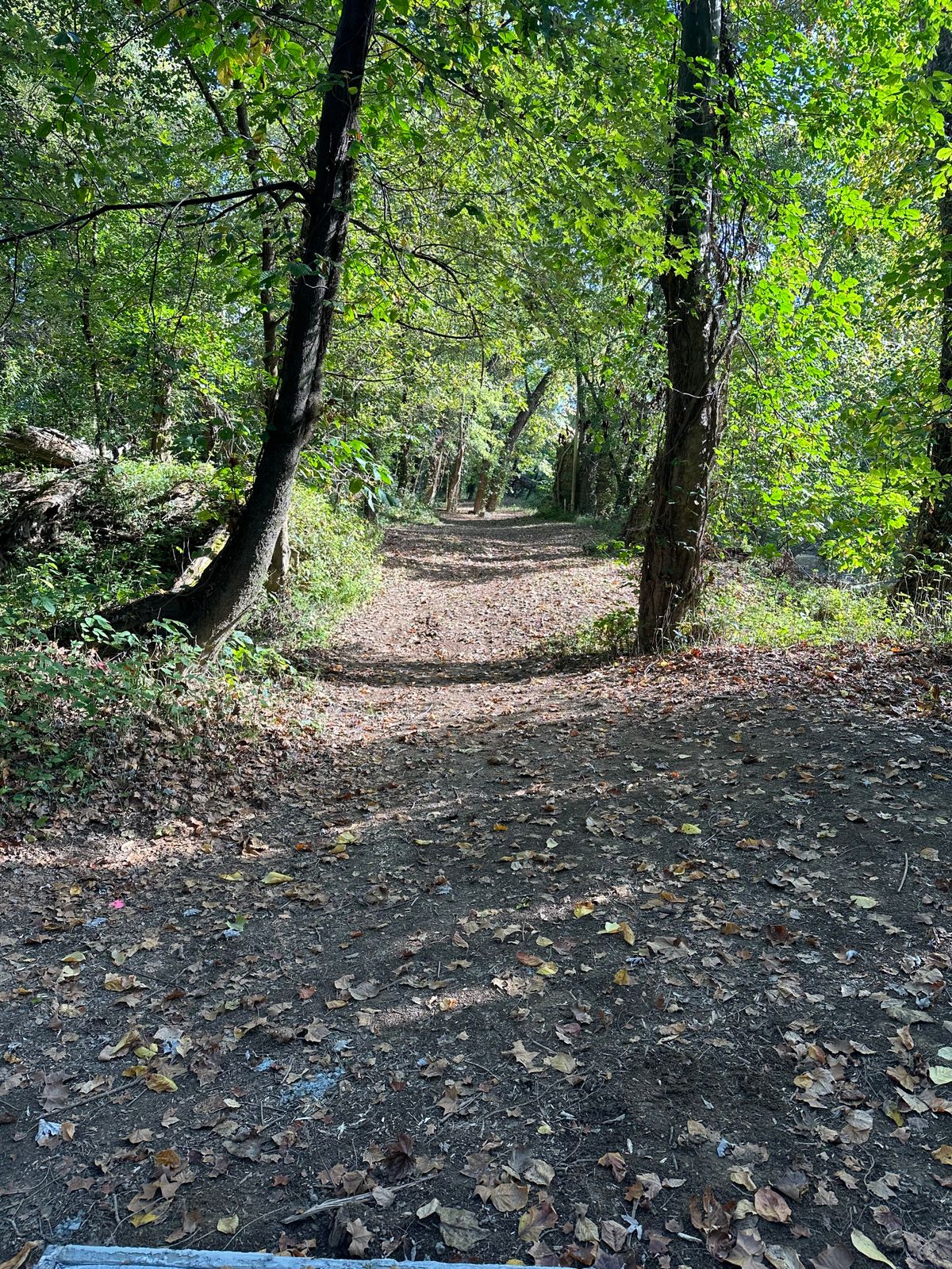 Hole 7