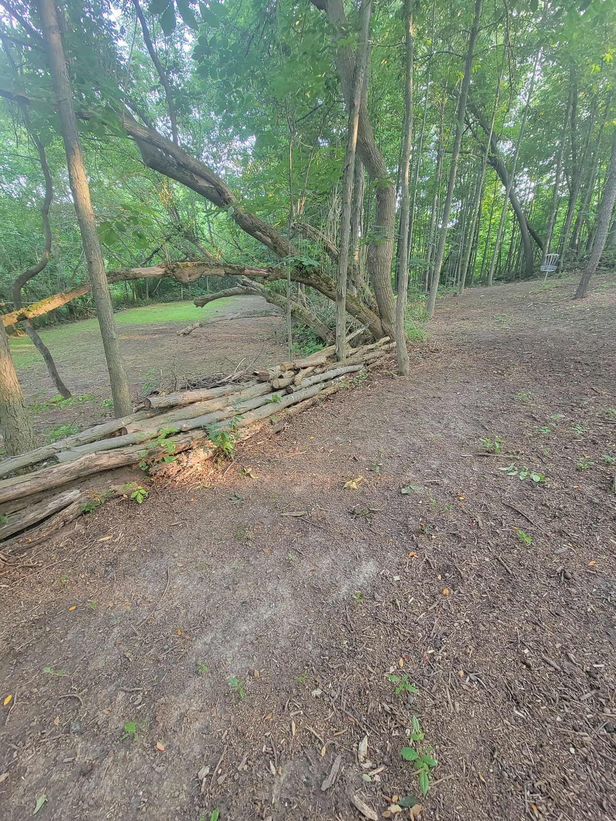 Hole 2
