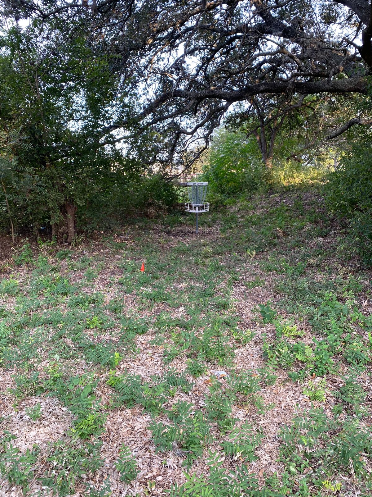 Hole 2 basket.