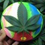 User avatar image