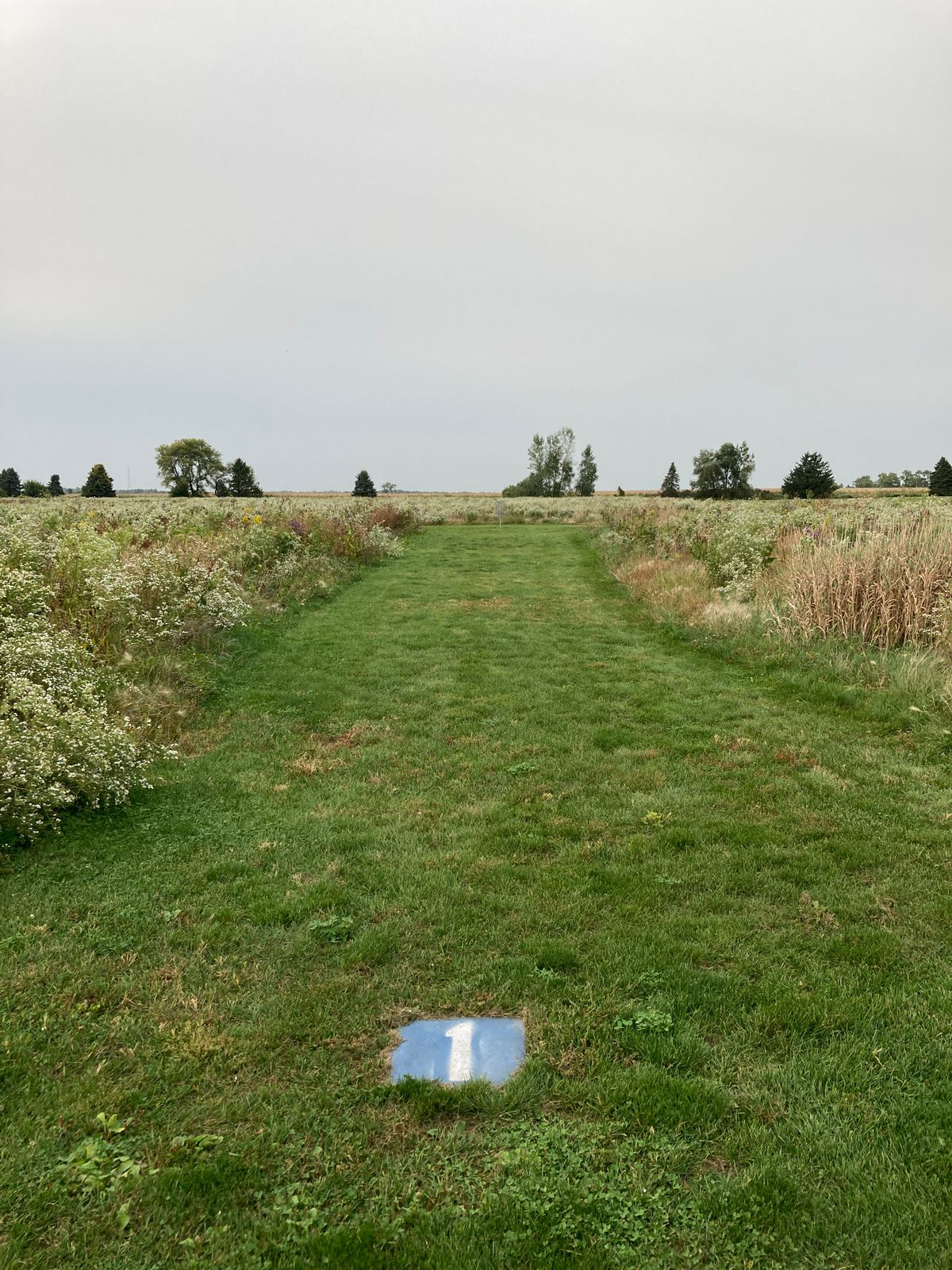 Short but narrow fairways. High prairie all around.