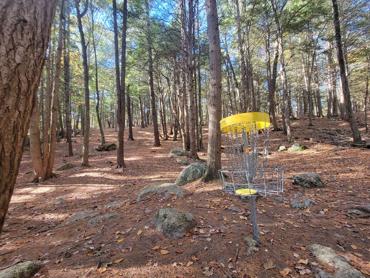 Hole 2, awesome line.