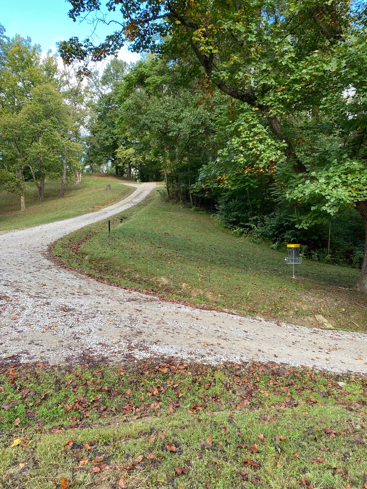 Hole #5 basket, looking up toward the tee box