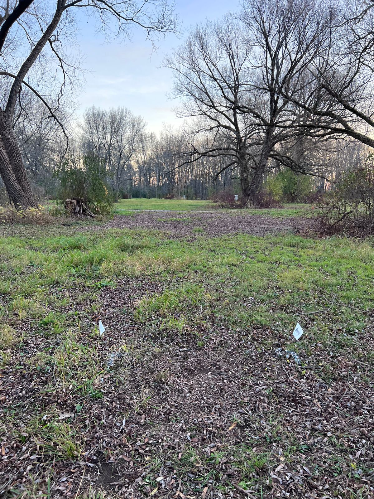 Tee for hole 3
