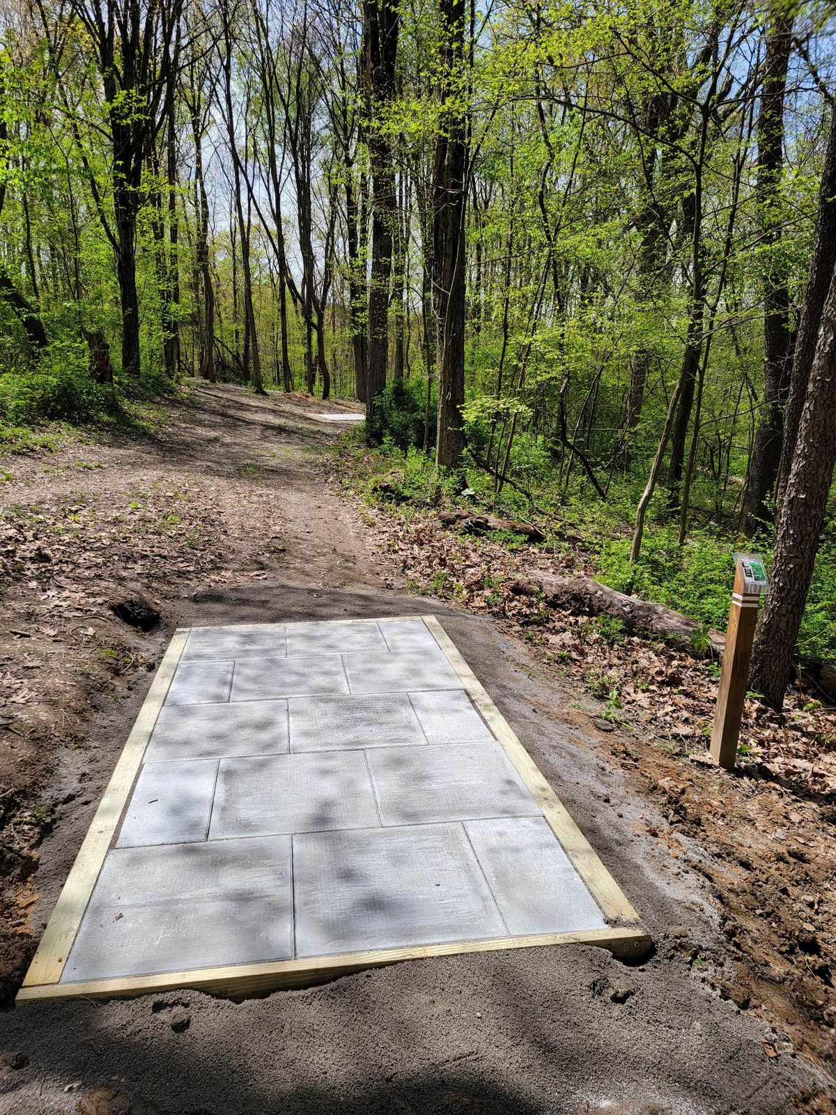 hole 10 white