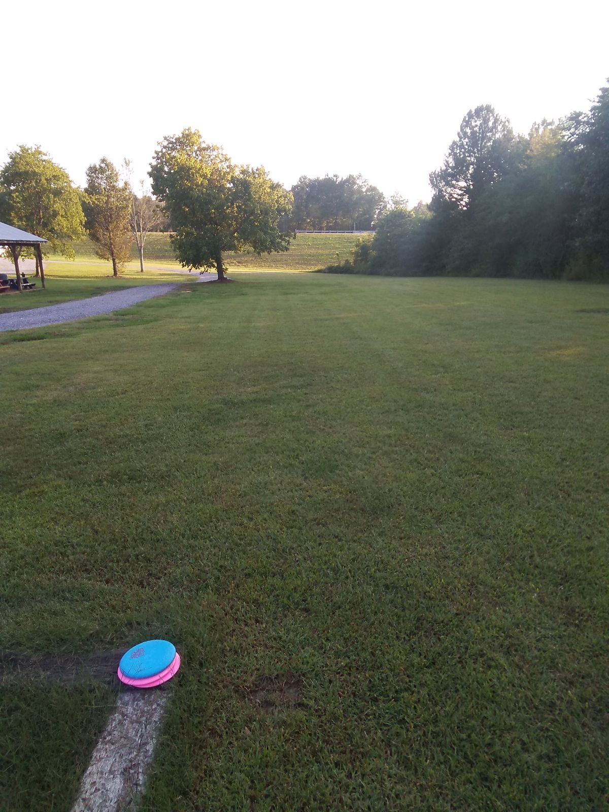 Hole 7 teepad