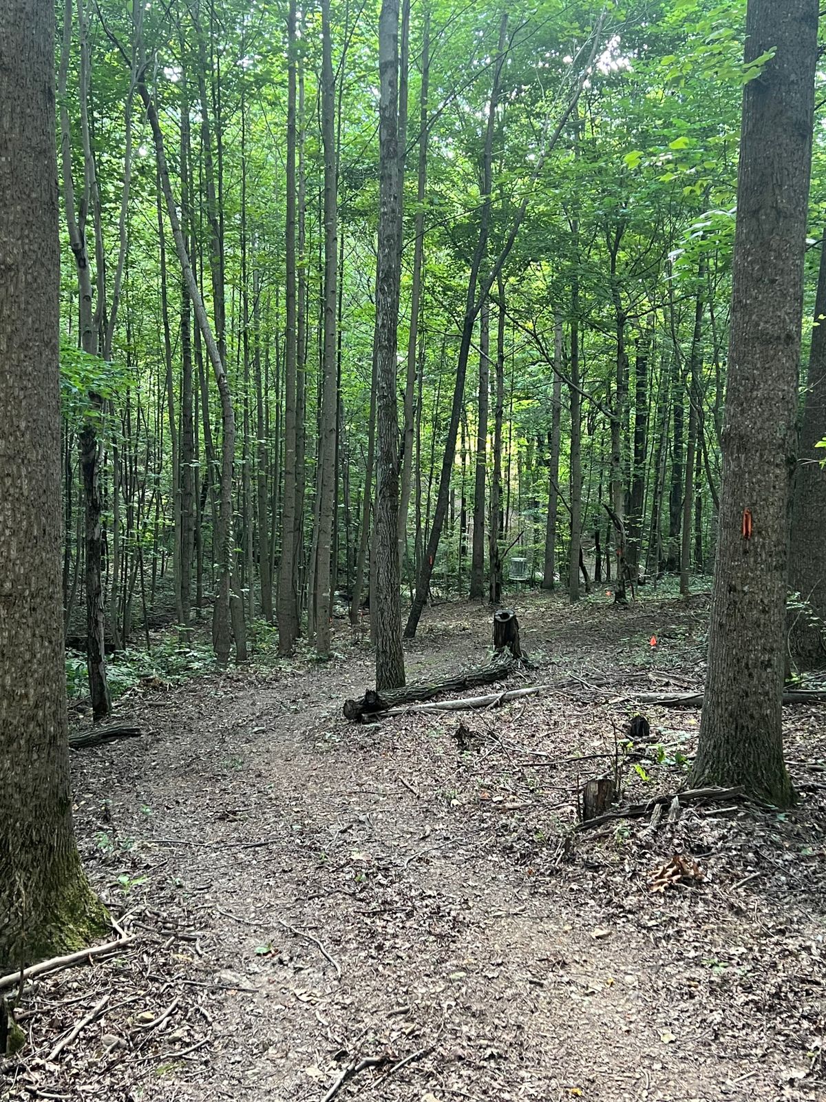 6 Fairway