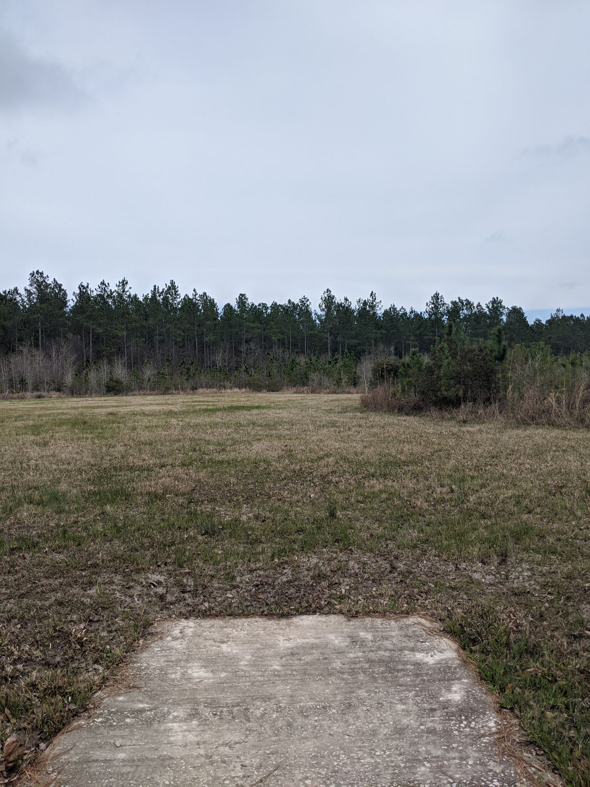Hole 9 Short Tee