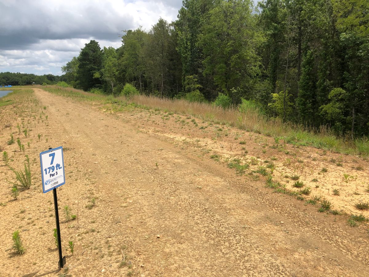 Hole 7 tee
