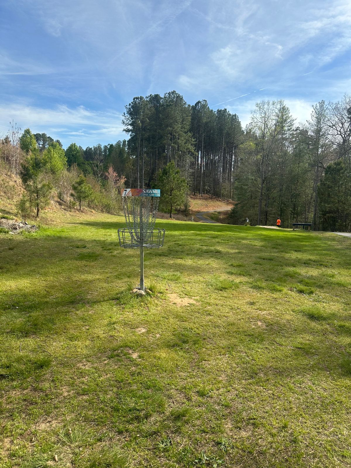 Hole 7 from the basket