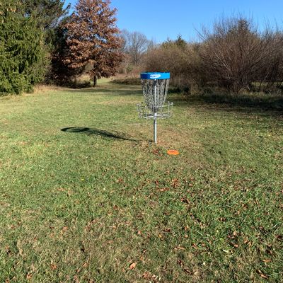 Basket on Hole 9