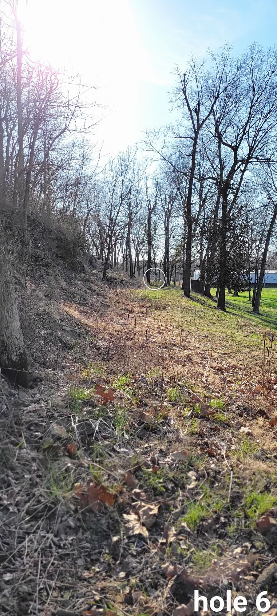 Tee pad veiw for 6.