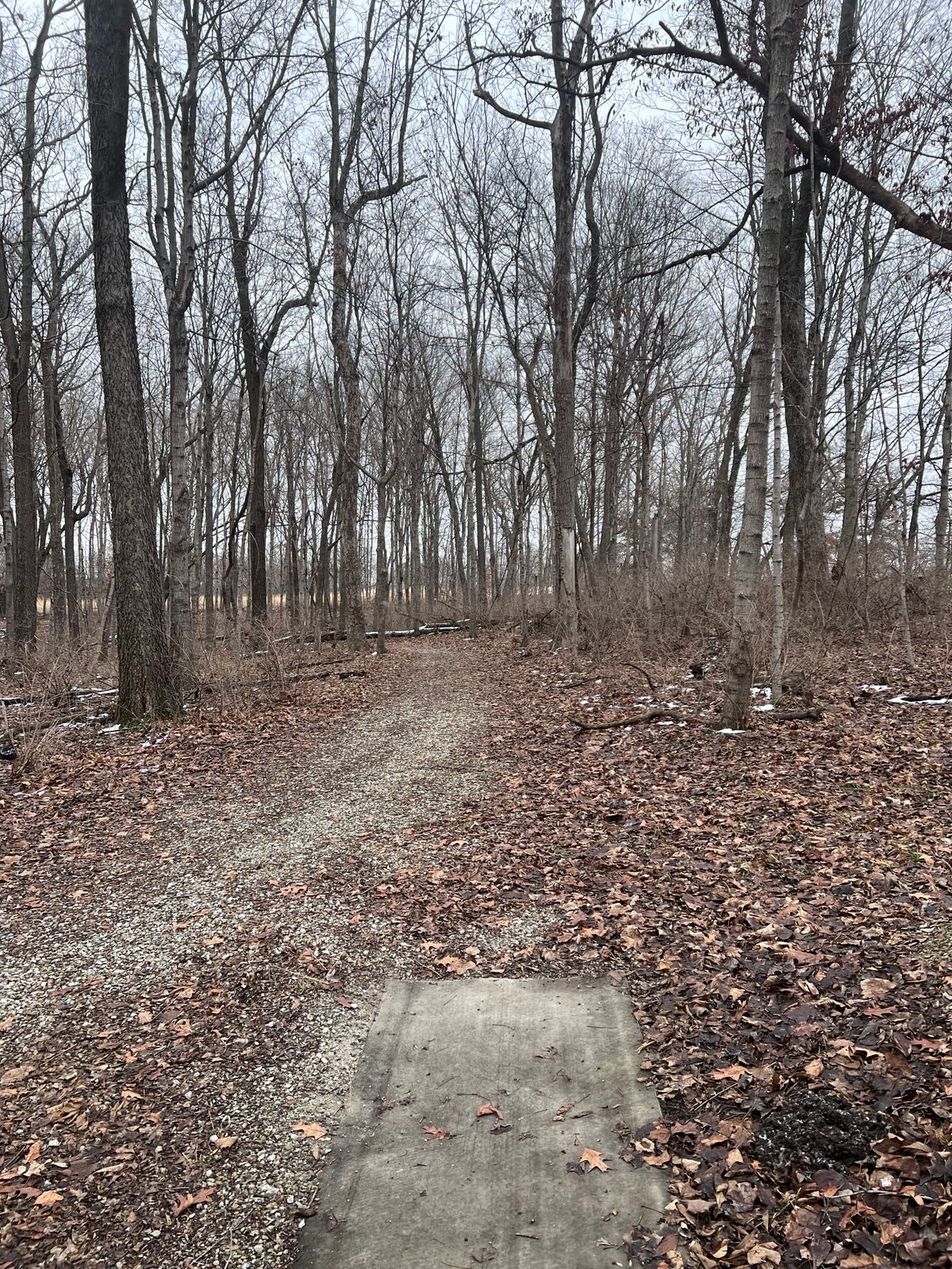 Hole 13