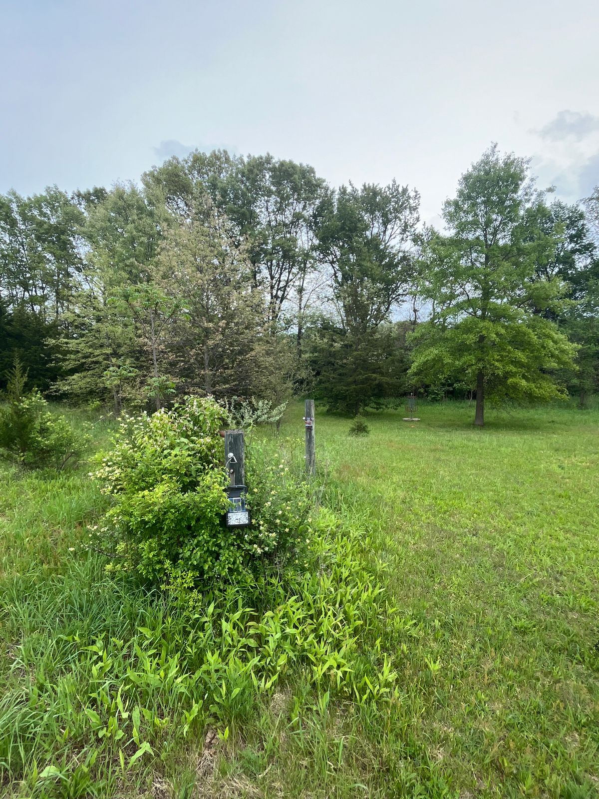 Gates & fence of the old ranch on hole 5