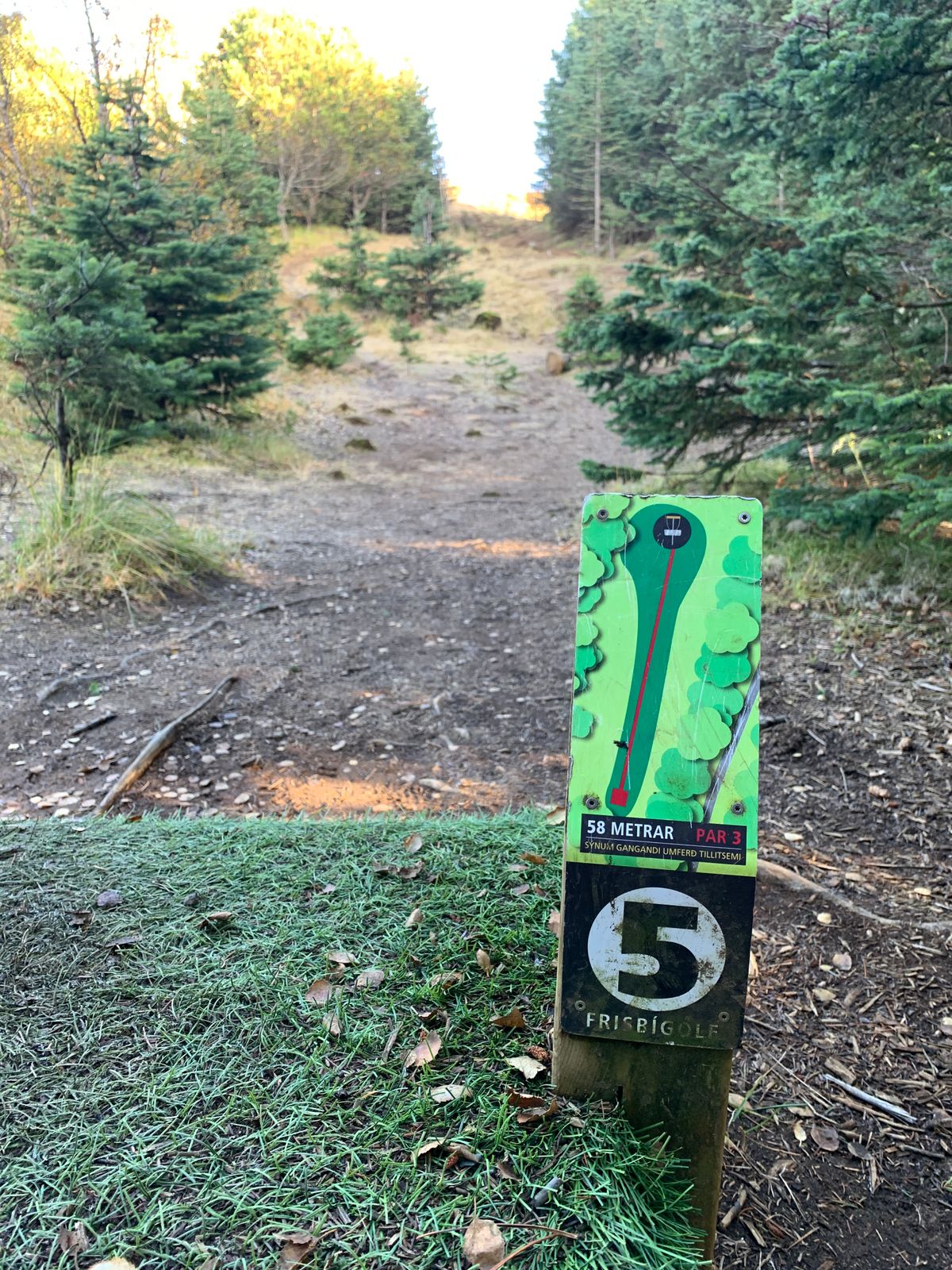 Teepad and fairway hole 5