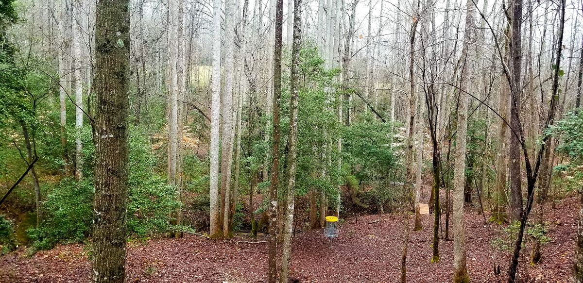 Hole #17 white- mid fairway