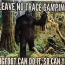 orgcaveman