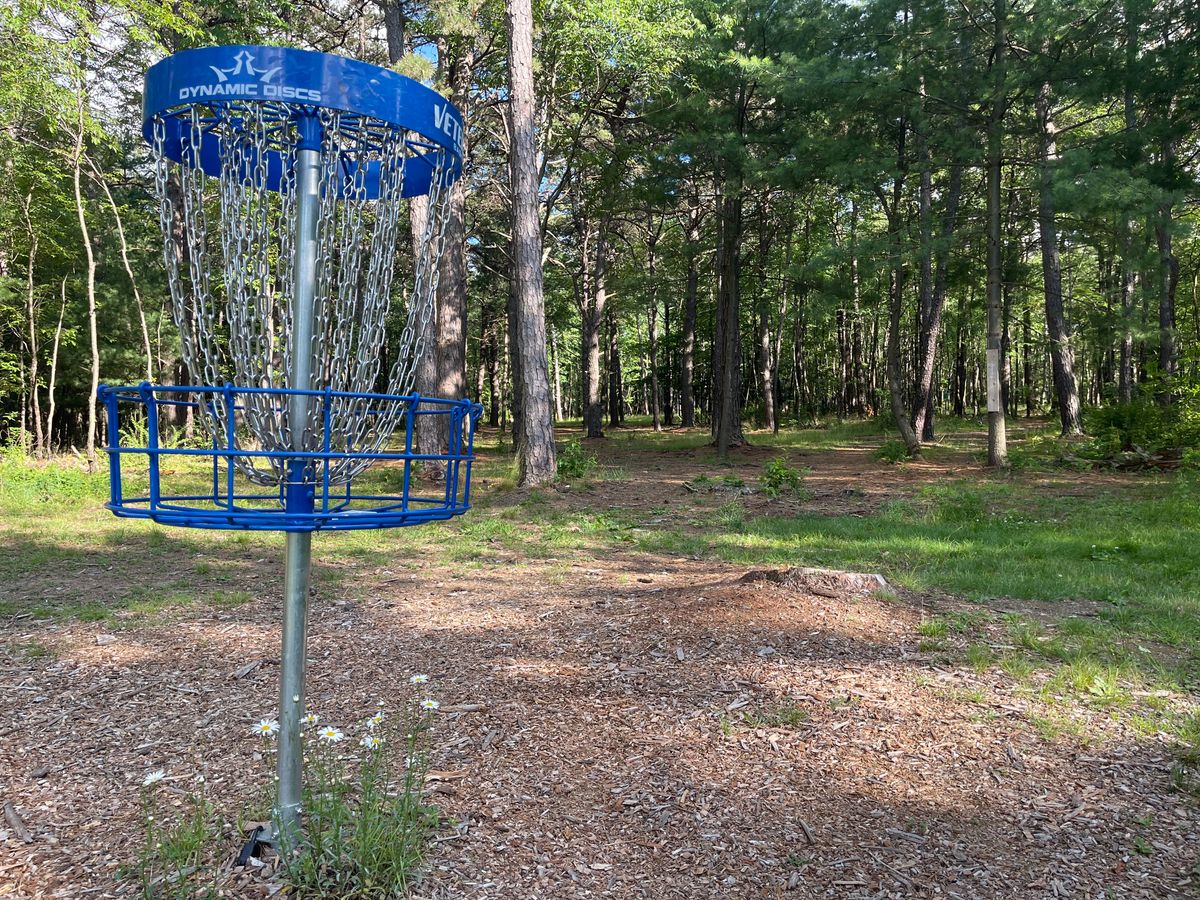 Hole 8s Basket with some nice flowers!