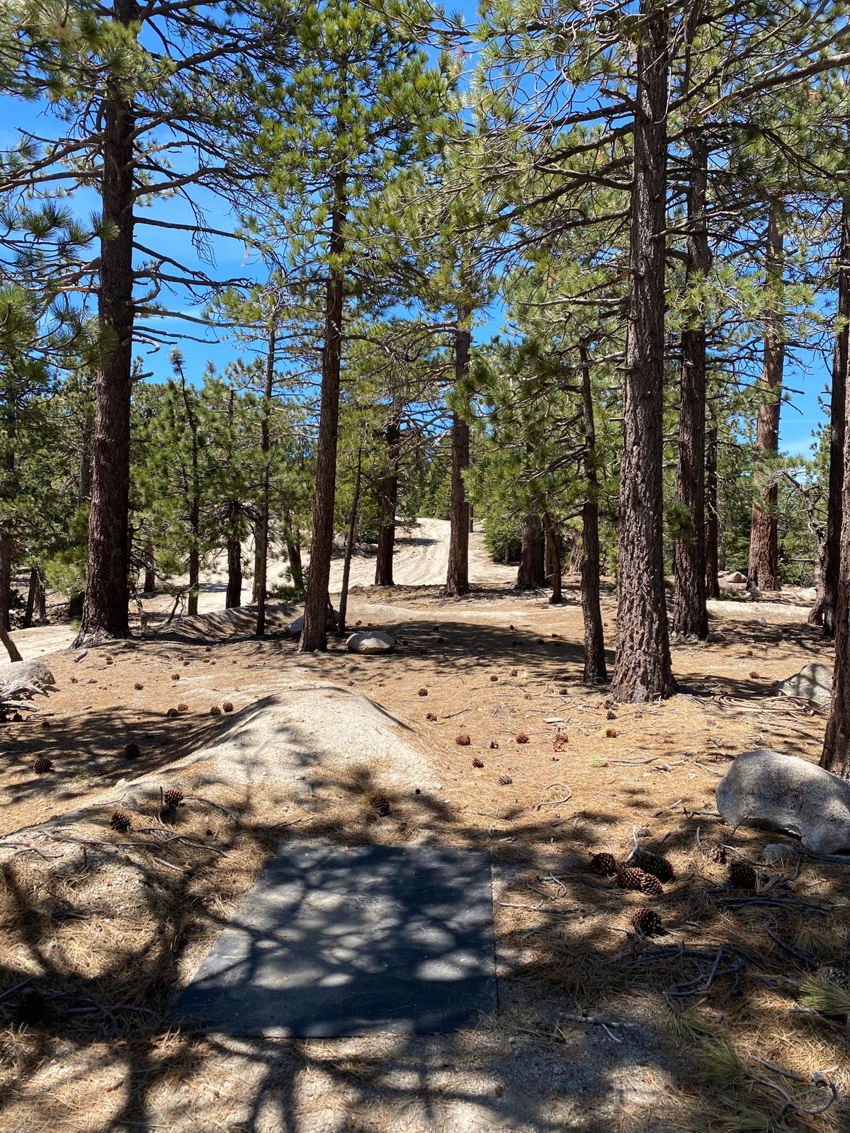 Tee of Hole 1