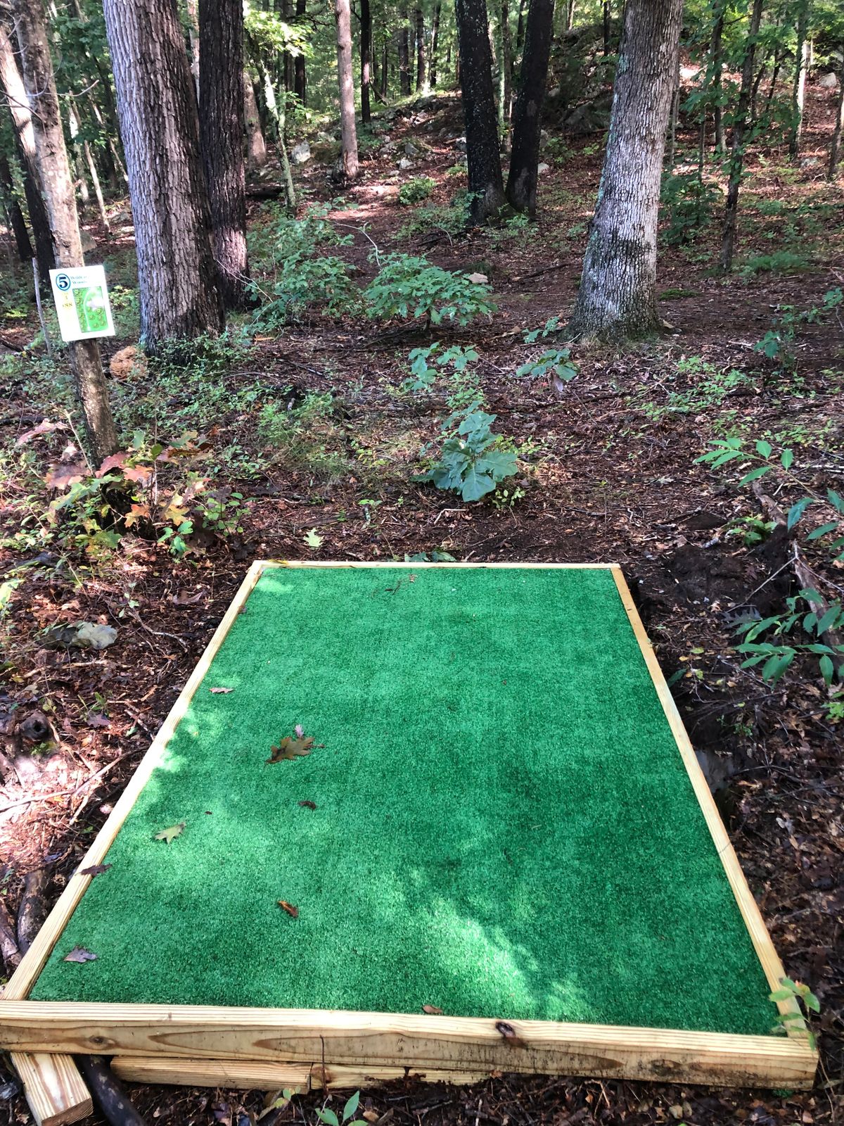 Hole 5 Tee
