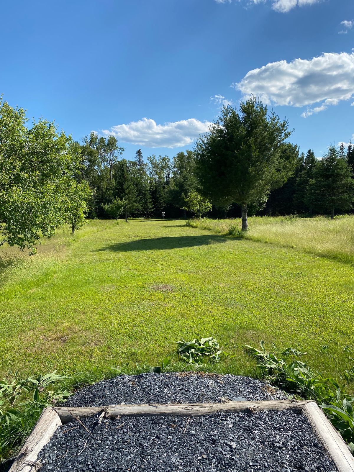 Hole 1 Blue Tee
