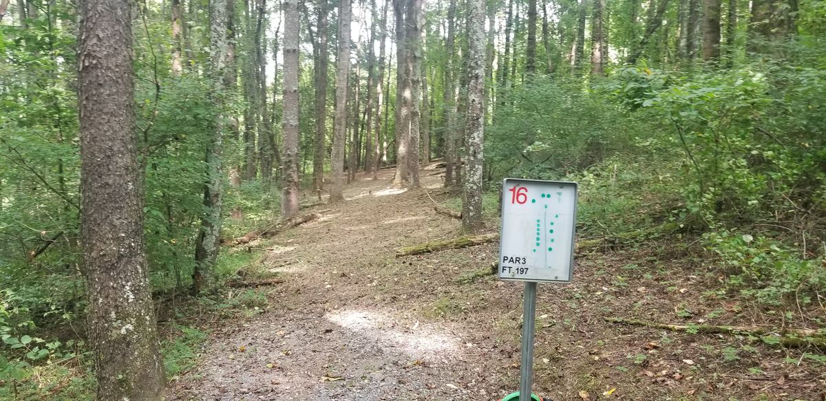 #16.   Well guarded basket