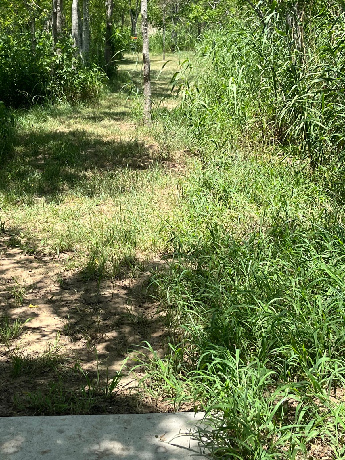 Hole 10 is tricky. Most buggy area.
