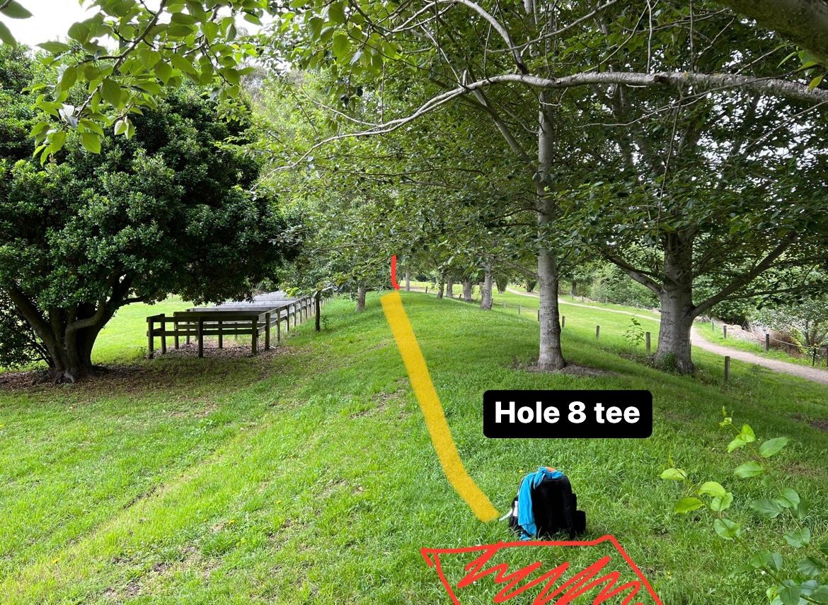 Hole 8 tee